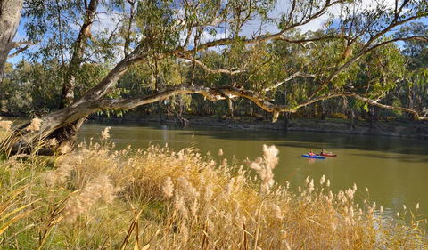 Murrumbidgee Valley National Park - Accommodation Yamba 3