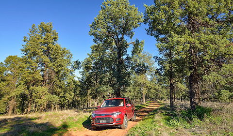 Forest Drive - Accommodation Yamba 0