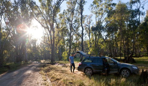Forest Drive - Accommodation Yamba 1