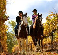 Billabong Ranch - Accommodation Yamba