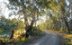 Alton Gallery - Echuca Moama Artists - thumb 0