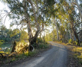 Alton Gallery - Echuca Moama Artists - Accommodation Yamba 0