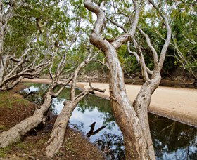 Oyala Thumotang National Park (CYPAL) - Accommodation Yamba 0