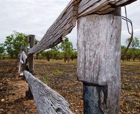 Oyala Thumotang National Park (CYPAL) - Accommodation Yamba 1