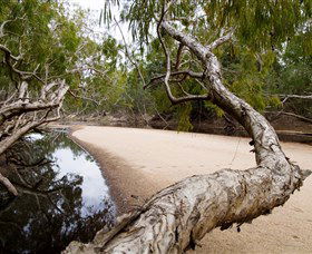 Oyala Thumotang National Park (CYPAL) - Accommodation Yamba 3