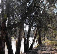 Mia Forest Drives Narrandera - Accommodation Yamba