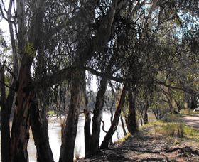 Mia Forest Drives Narrandera - Accommodation Yamba 0