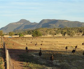 Tooraweenah NSW Accommodation Yamba