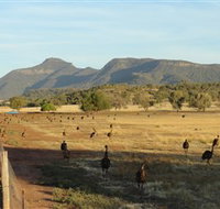 Emu Logic - Accommodation Yamba