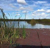 Gwydir Wetlands - Accommodation Yamba