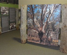 Barmah Forest Heritage And Education Centre - Accommodation Yamba 2