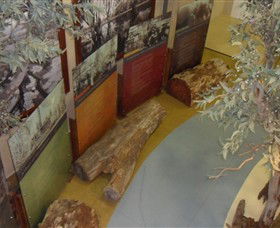 Barmah Forest Heritage And Education Centre - Accommodation Yamba 4