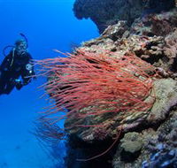 Three Sisters Dive Site - Accommodation Yamba
