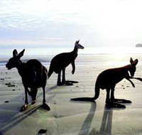Hibiscus Coast - Accommodation Yamba