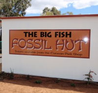 Big Fish Fossil Hut at Peak Hill - Accommodation Yamba