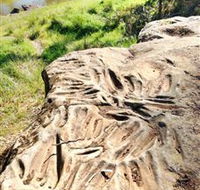 Terramungamine Rock Grooves - Accommodation Yamba