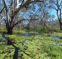 Macquarie Valley Trails - Accommodation Yamba