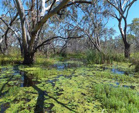 Macquarie Valley Trails - Accommodation Yamba 0