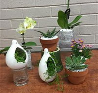 Cobram Florist - Accommodation Yamba