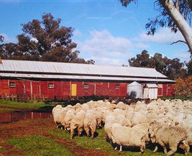 Savernake Day Tours - Accommodation Yamba 1
