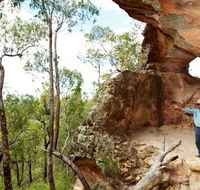 Pilliga National Park - Accommodation Yamba