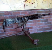 Woodpecker Gun - Accommodation Yamba