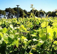 Basalt Wines - Accommodation Yamba