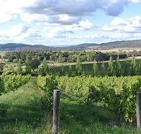 Sassy Wines - Accommodation Yamba