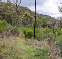 Lynchs loop trail - Accommodation Yamba