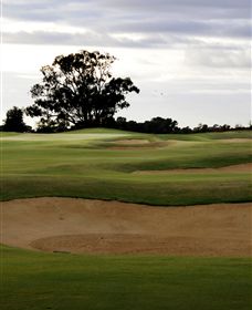 Black Bull Golf Club - Accommodation Yamba 0