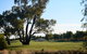 Black Bull Golf Club - thumb 2