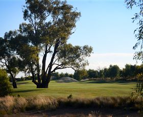 Black Bull Golf Club - Accommodation Yamba 2