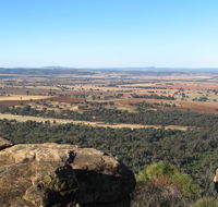 Basin Gully to Eualdrie lookout track - Accommodation Yamba