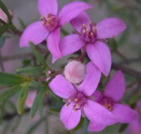 Self Drive Geology and Nature Trails - Accommodation Yamba