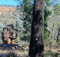 Eualdrie walking track - Accommodation Yamba