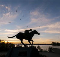 Black Caviar Statue - Accommodation Yamba