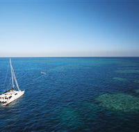 Bait Reef and Garys Lagoon Dive Site - Accommodation Yamba