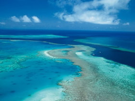 Fairey Reef - Accommodation Yamba 2