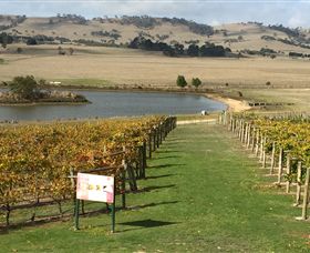 Grange Cleveland Winery - Accommodation Yamba 1