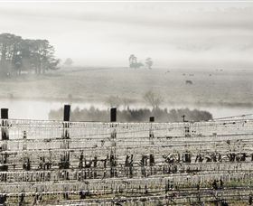 Grange Cleveland Winery - Accommodation Yamba 7