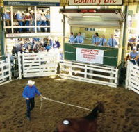 Gracemere Exhibition Complex - Accommodation Yamba