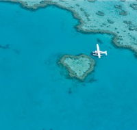Great Barrier Reef - Whitsundays - Accommodation Yamba