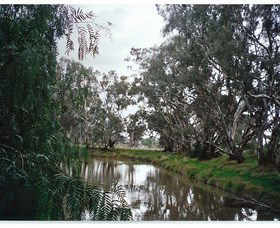 Ryan NSW Accommodation Yamba