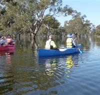 Doodle Cooma Swamp - Accommodation Yamba