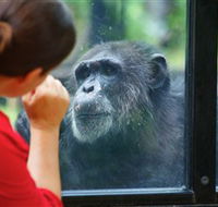 The Rockhampton Zoo - Accommodation Yamba