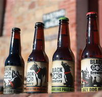 Black Dog Brewery - Accommodation Yamba