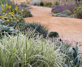 Perennialle Plants Nursery And Garden - Accommodation Yamba 1