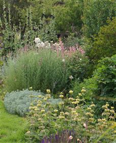 Perennialle Plants Nursery And Garden - Accommodation Yamba 6