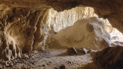 Borenore Karst Conservation Reserve - Accommodation Yamba 1