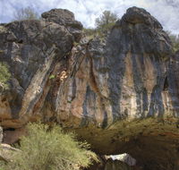 Borenore Karst Conservation Reserve - Accommodation Yamba